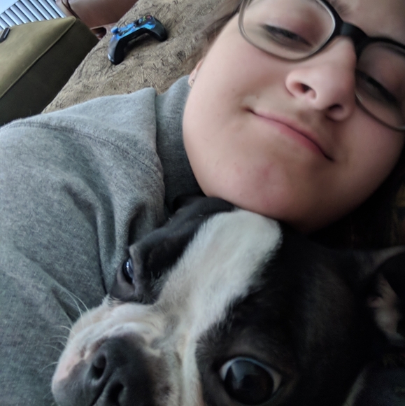 Meet your Posher, Quinn - Picture 2 of 3